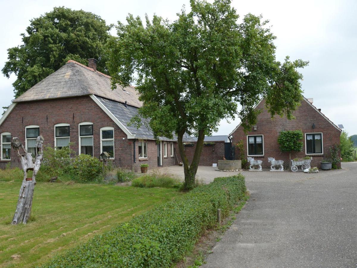 Modern In With Forest Near