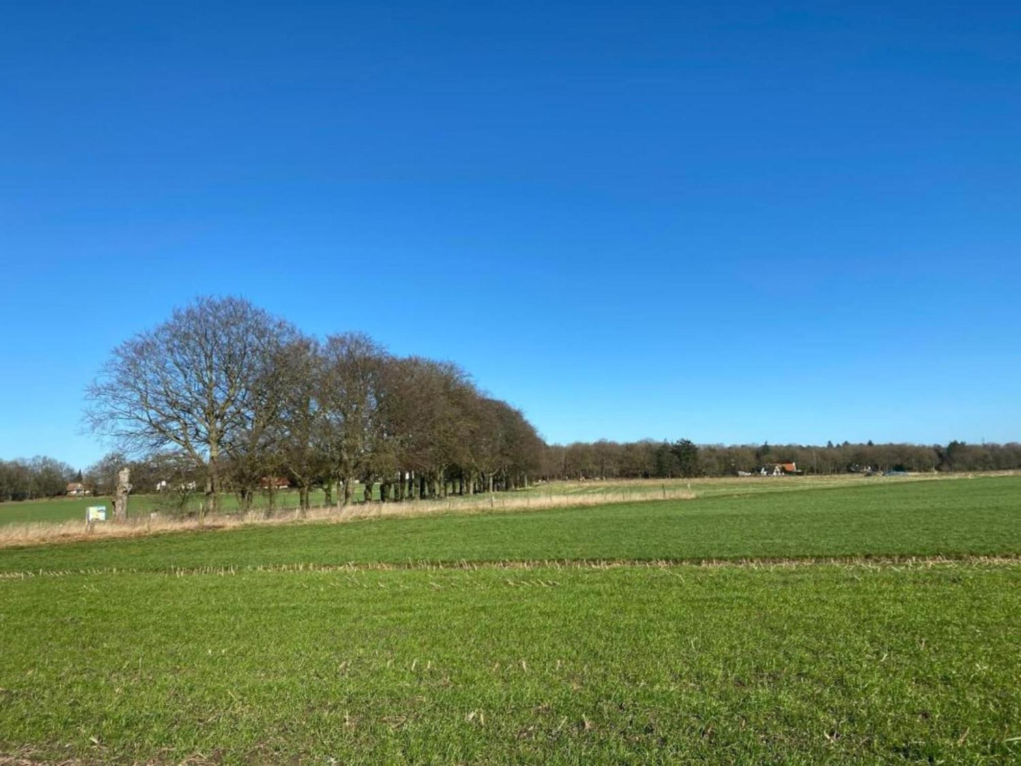 Modern In With Forest Nearby Ferienhaus Holten
